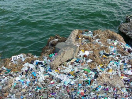 Ilhas de plástico matam 1,5 milhão de animais por ano