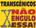 TRANSGÊNICOS: EMPRESAS OMITIRAM INFORMAÇÃO