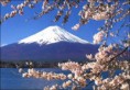 Monte Fuji é reconhecido como patrimônio da humanidade